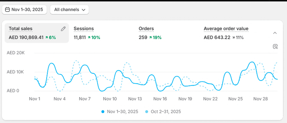 Shopify Store – November 2025 – Shopify analytics